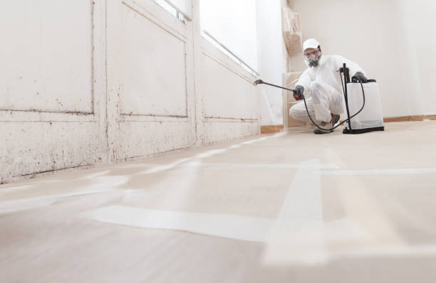 24/7 Emergency Attic Mold Removal experts in Front Royal, VA